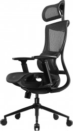 Dowinx Ergonomic Office Chair