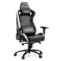 Gtracing LUXURY Series GTX320