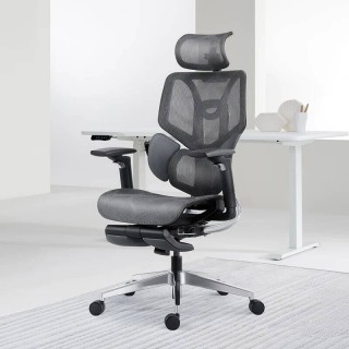 HBADA E-Feature Series Ergonomic Chair-Pro