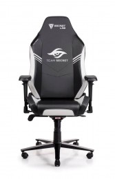 Secretlab Gaming Chair Team Secret