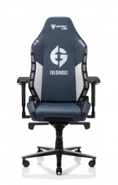 Secretlab OMEGA 2020 Evil Geniuses