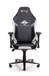 Secretlab OMEGA 2020 Team Secret