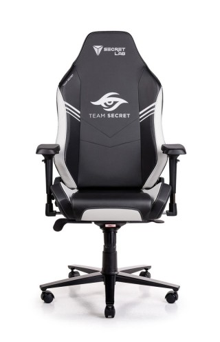 Secretlab OMEGA 2020 Team Secret