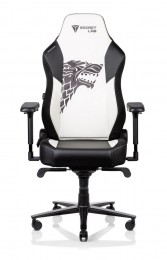 Secretlab TITAN 2020 House Stark