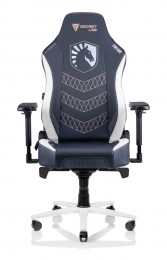 Secretlab TITAN 2020 Team Liquid