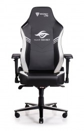 Secretlab TITAN 2020 Team Secret
