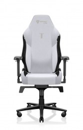 Secretlab TITAN Evo Arctic White