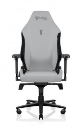 Secretlab TITAN Evo Ash