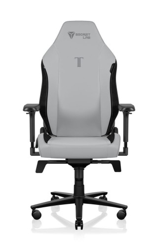 Secretlab TITAN Evo Ash