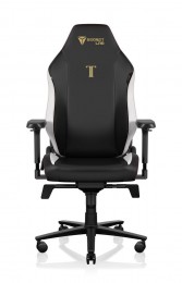 Secretlab TITAN Evo Classic