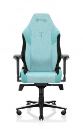 Secretlab TITAN Evo Mint Green