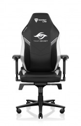 Secretlab TITAN Evo Team Secret