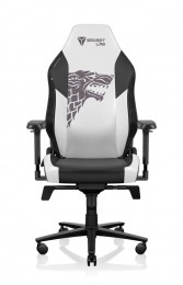 Secretlab TITAN Evo House Stark
