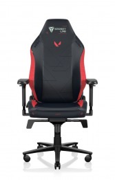 Secretlab TITAN Evo VALORANT