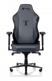 Secretlab TITAN 2020 Ash